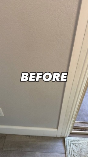 Before: Pet Door Wall Installation