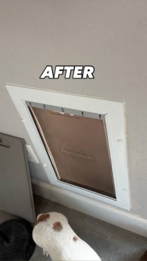 After: Pet Door Wall Installation