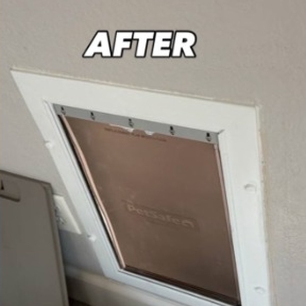 Stucco Pet Door Installation